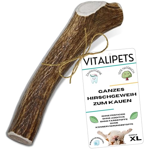 VITALIPETS Hirschgeweih für Hunde von 30 bis 45 Kg Größe XL - Natürlicher Kauknochen - Leckerlis - Belohnung - Spielzeug - Unverwüstliche Beschäftigung für Welpen - Kauen - Zahnpflege - Anti-Stress von VITALIPETS