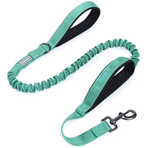 VIVAGLORY Bungee Leine Hund Hundeleine Große Hunde Line Hund Große Hunde Jogging Leine für Hund Hundeleine Elastisch, Verstellbare Längen (122-168CM), Türkis von VIVAGLORY