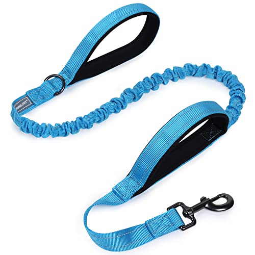 VIVAGLORY Bungee Leine Hund Hundeleine Große Hunde Line Hund Große Hunde Jogging Leine für Hund Hundeleine Elastisch, Verstellbare Längen (122-168CM), Blau von VIVAGLORY