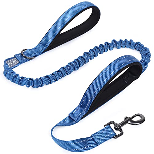 VIVAGLORY Bungee Leine Hund Hundeleine Große Hunde Line Hund Große Hunde Jogging Leine für Hund Hundeleine Elastisch, Verstellbare Längen (122-168CM), Royal Blue von VIVAGLORY