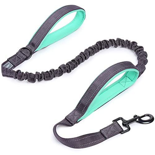 VIVAGLORY Bungee Leine Hund Hundeleine Große Hunde Line Hund Große Hunde Jogging Leine für Hund Hundeleine Elastisch, Verstellbare Längen (122-168CM), Grau von VIVAGLORY