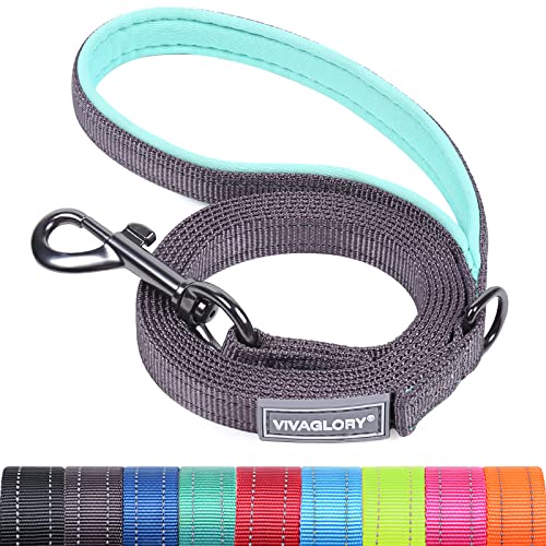 VIVAGLORY Hundeleine, Hundeleine für Spaziergänge mit Bequemer Neopren Gepolsterter Griff, Schwerlast Trainingsleine für Kleine bis Mittlere Hunde von VIVAGLORY