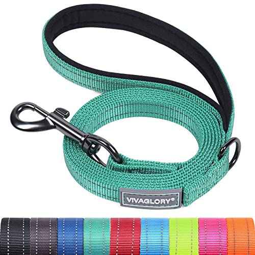 VIVAGLORY Hundeleine, Hundeleine für Spaziergänge mit Bequemer Neopren Gepolsterter Griff, Schwerlast Trainingsleine für Kleine bis Mittlere Hunde von VIVAGLORY