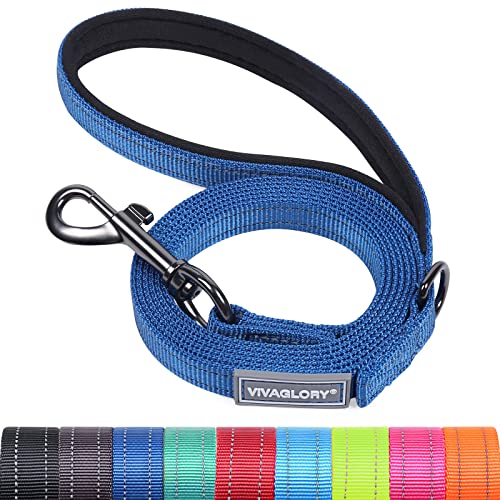 VIVAGLORY Hundeleine, Hundeleine für Spaziergänge mit Bequemer Neopren Gepolsterter Griff, Schwerlast Trainingsleine für Kleine bis Mittlere Hunde von VIVAGLORY