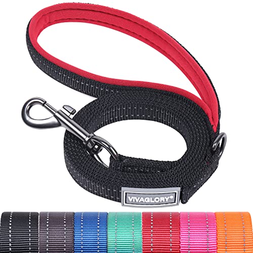 VIVAGLORY Hundeleine, Hundeleine für Spaziergänge mit Bequemer Neopren Gepolsterter Griff, Schwerlast Trainingsleine für Kleine bis Mittlere Hunde von VIVAGLORY