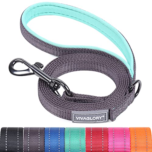 VIVAGLORY Hundeleine, Hundeleine für Spaziergänge mit Bequemer Neopren Gepolsterter Griff, Schwerlast Trainingsleine für Kleine bis Mittlere Hunde von VIVAGLORY