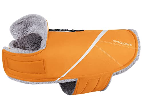 VIVAGLORY Hundemäntel für Kaltes Wetter, Gemütlich Wasserabweisend Winddicht Hundeweste, Warme Haustierbekleidung für Winter-Hundejacke für Kleine Mittel Hunde mit Pelzkragen, Orange, M von VIVAGLORY