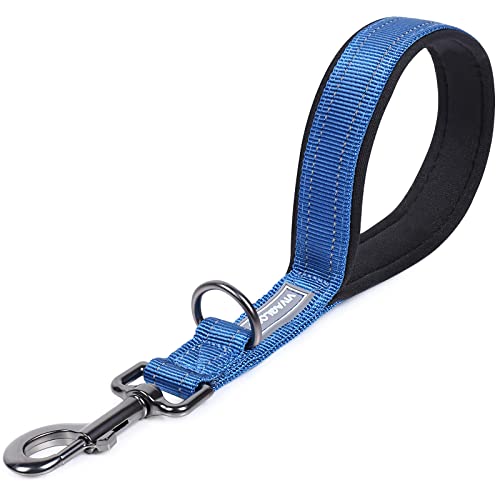 VIVAGLORY Kurzführer Hund Hundeleine Kurz Kurze Leine Hund Nylonleine Hundeleine Mittelgroße Große Hunde Kurzführer Hund Metallclip Hundeleine mit Kurzführer, 32 cm Länge 2,5 cm Breite, Blau von VIVAGLORY