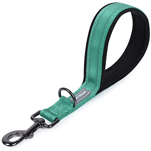 VIVAGLORY Kurzführer Hund Hundeleine Kurz Kurze Leine Hund Nylonleine Hundeleine Mittelgroße Große Hunde Kurzführer Hund Metallclip Hundeleine mit Kurzführer, 32 cm Länge 2,5 cm Breite, Grün von VIVAGLORY