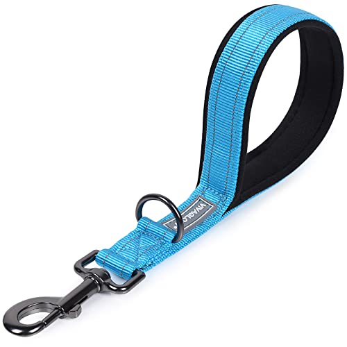 VIVAGLORY Kurzführer Hund Hundeleine Kurz Kurze Leine Hund Nylonleine Hundeleine Mittelgroße Große Hunde Kurzführer Hund Metallclip Hundeleine mit Kurzführer, 32 cm Länge 2,5 cm Breite, Seeblau von VIVAGLORY