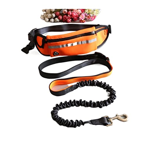 Verstellbare Führleine Hund Katze läuft einziehbarer Gürtel Gummiband Walking Training Hundeleine Halsband Set Hundeleine(Orange) von VNSMM