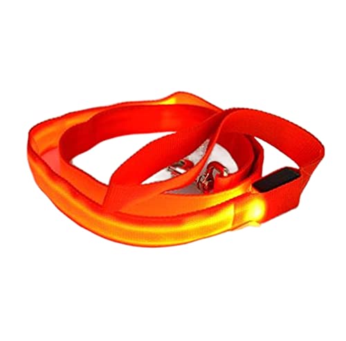 Verstellbare Führleine Nylon Light Up Hundeleine Nachtsicherheit Hundehalsband Heimtierbedarf Katze Zeichnen Kleine Leine Hundeleine(Red,Width 15mm) von VNSMM