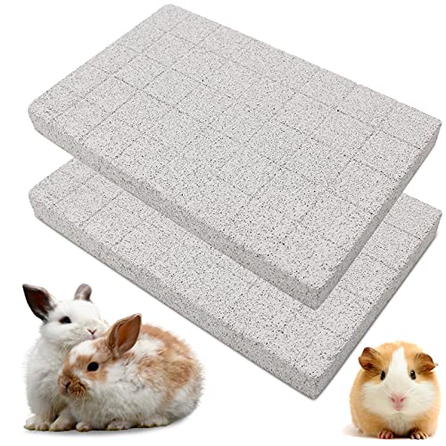 VOCLS 2PC Kaninchen Kratzpad Bunny Scratch Board Pfoten Lava Bimsstein Kleintier Fußpolster und Haustier Molaren für Meerschweinchen Frettchen Igel Chinchilla Kaninchen Hamster Käfig Zubehör von VOCLS