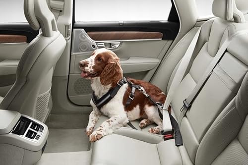 VOLVO Gurtzeug Hundegurt 30-55kg für die hintere Liege von VOLVO