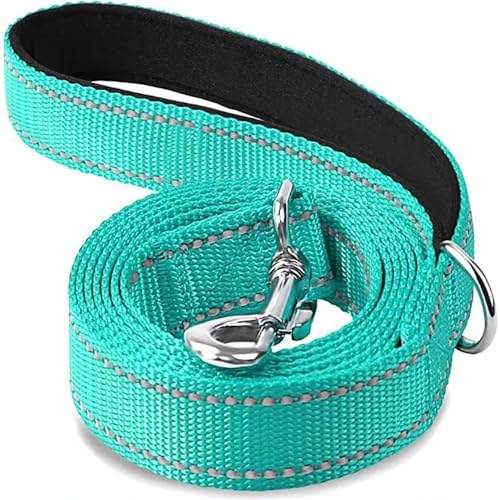 Katzen Hunde Geschirr Halsband Blei Gurt Nacht Reflexion Hund Haustier Abschleppseil 1.2/1.5/1.8m Schutzseil Haustier Walking Training Leine Hundeleine(Cyan,1.5x150cm) von VONCYKI