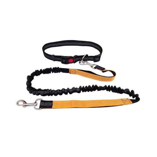 Robuste, elastische Hundeleine aus Nylon for Laufen und Gehen. Zugleine for Haustiere mit angenehmem Griff. Ideal for aktive Hunde und Besitzer. Hundeleine(Black Orange) von VONCYKI