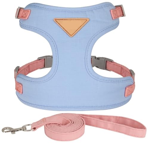 VOODUE Mode Katze Hund Geschirr und Leine Set weichem Stoff Welpen Katze Geschirre Blei Haustier Kätzchen Westen mit Seil for kleine Hunde Katzen (Color : Blau, Size : M) von VOODUE