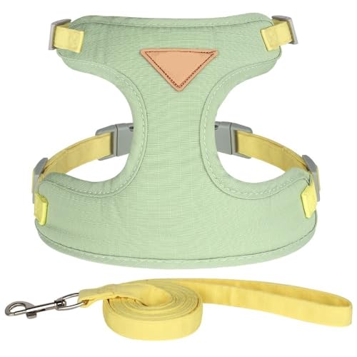 VOODUE Mode Katze Hund Geschirr und Leine Set weichem Stoff Welpen Katze Geschirre Blei Haustier Kätzchen Westen mit Seil for kleine Hunde Katzen (Color : Grün, Size : L) von VOODUE