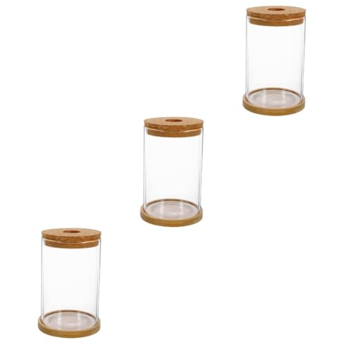 VOSAREA 3 Sätze hydroponische Vase blumentöpfe blumenkübel Grüne Pflanzen genschenkideen Terrarium unterschrank Links Terrarienbehälter aus Glas Mikro-Landschaftsflasche Einmachglas Bambus von VOSAREA