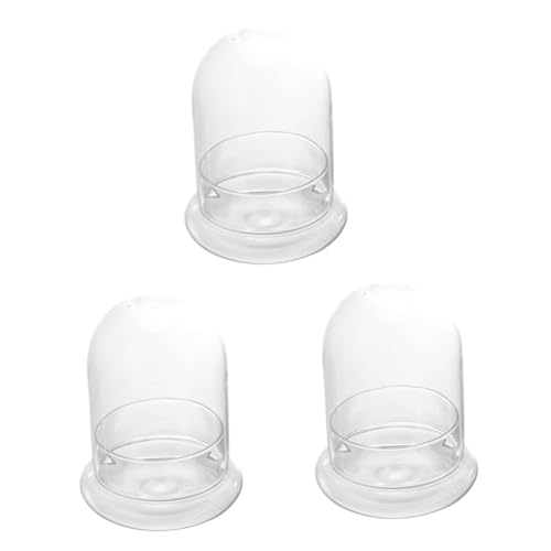 VOSAREA 3 Teiliges Flaschen Schüssel Terrarium Set Glas Graue Untersetzer Luftpflanzen Flasche Mikrolandschafts Becherbehälter Mikro Landschaftsflasche Pflanzenvase Luftpflanzen von VOSAREA