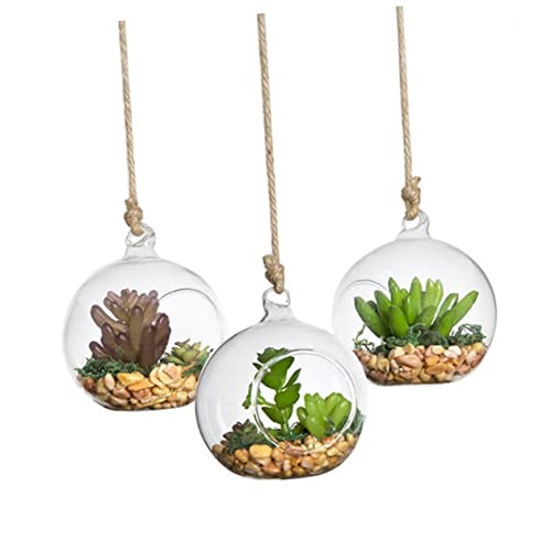 VOSAREA 3St hängende Glaskugelvase Sukkulenten zum Aufhängen Pflanzgefäß zum Aufhängen für den Außenbereich klare Vase hochzeitsdekoration hochzeits Dekoration Hängendes Terrarium aus Glas von VOSAREA