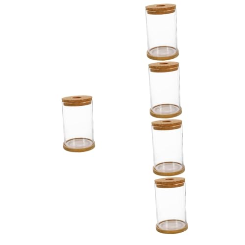 VOSAREA 5 Sätze hydroponische Vase blumentöpfe blumenkübel pflanzenstände übertopf blumentopf pflanzengestell hausdeko Links ökologische Flasche Ökosystembehälter kleines Terrarium Bambus von VOSAREA