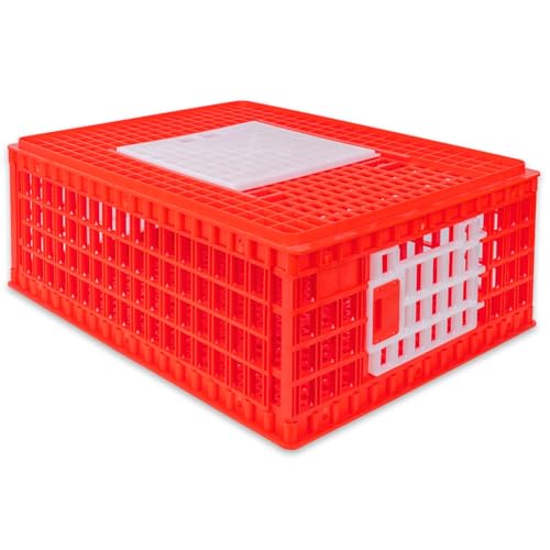 VOSS.farming Geflügel Transportkiste, 74x55x29cm, Transportbox, 2 Seitentüren, Schiebetür oben, für Hühner, Enten, Wachteln, rot-weiß von VOSS.farming