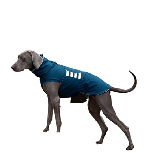 Wasserdichter Hunderegenmantel, geeignet for kleine Hunde, große Hunde, Welpen, Hundekleidung, Leine, reflektierender Haustierregenmantel(Blue,L) von VRKRTVBLB