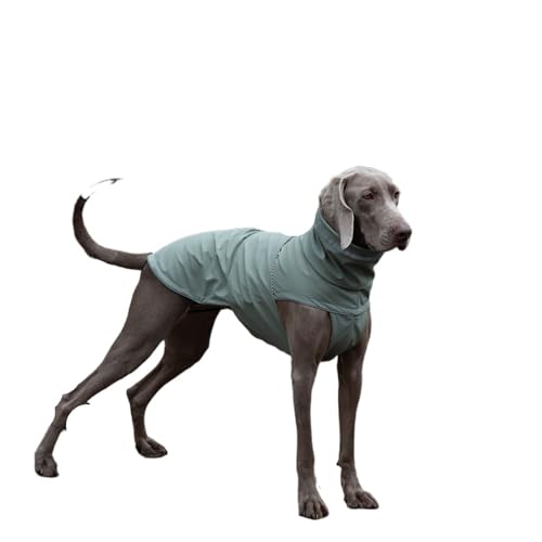 Wasserdichter Hunderegenmantel, geeignet for kleine Hunde, große Hunde, Welpen, Hundekleidung, Leine, reflektierender Haustierregenmantel(Green,XL) von VRKRTVBLB