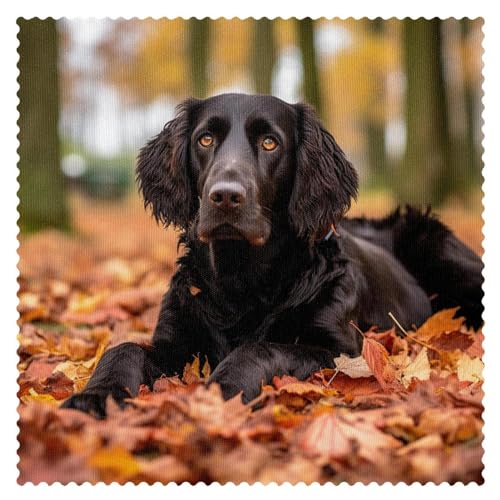 Tischsets,1er Set,waschbare Tischsets für den Esstisch,Herbst Hundeblatt von VTGHDEEQ