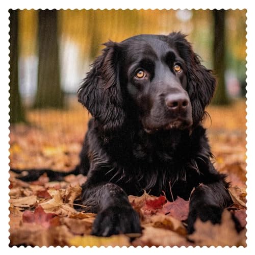 Tischsets,1er Set,waschbare Tischsets für den Esstisch,Herbst Hundeblatt von VTGHDEEQ