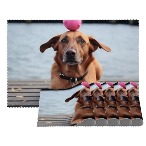 Tischsets,4er Set,rutschfeste,waschbare Tischsets,Herbst brauner Hundeball von VTGHDEEQ