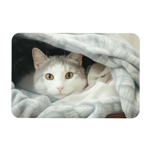 VTGHDEEQ Teppiche für Wohnzimmer,waschbarer Teppich,Teppich für Schlafzimmer,Decke und Katze,16x24 in von VTGHDEEQ