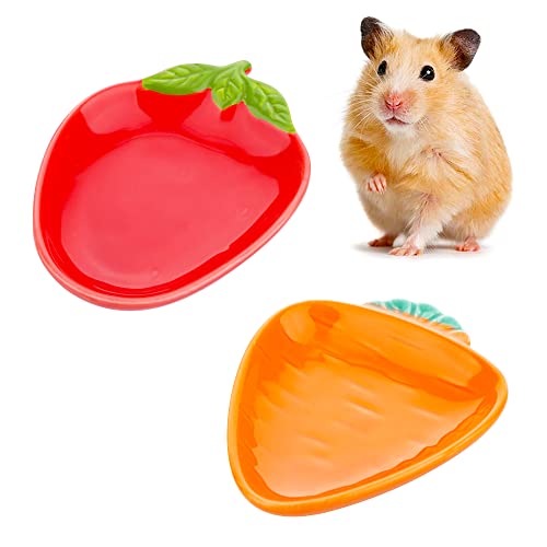 Keramik-Futternapf für Hamster, Rennmäuse, Igel, Meerschweinchen, Ratten, Nagetiere, 2 Stück von VTurboWay