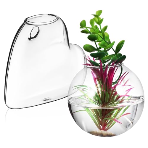 Vaguelly Wandpflanzgefäße Aus Hochborosilikat Glas Hängende Terrarien Für Zimmerpflanzen Dekorative Hydroponik Vasen Zur Pflanzenvermehrung Und Wandbegrünung von Vaguelly