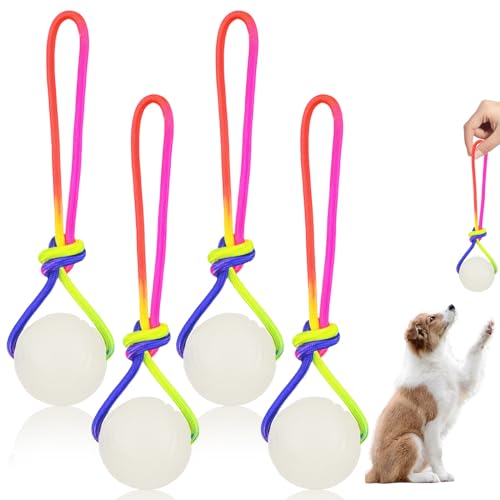 4 Stück Hundeball, Hundeball Leuchtend Glow Ball, Hundebälle mit Seil leuchtende Bälle für Hunde,Naturkautschuk Ball Hundespielzeug Klein Vollgummiball Wurfball Hund für Kleine & mittel & Große Hunde von Vaileal