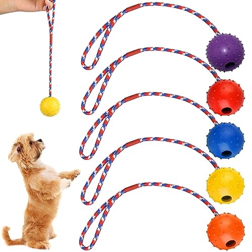 5 Stück Wurfball Hund Hundespielzeug: Hundebälle mit Seil, High Bounce Ball spielzeug für hunde, Naturkautschuk Ball Hundespielzeug Klein Vollgummiball Wurfball Hund für Kleine & mittel & Große Hunde von Vaileal