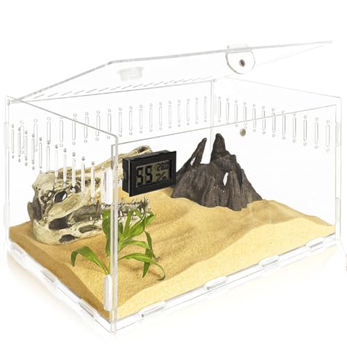 Acryl Terrarium Schnecken Terrarium, 20 * 12 * 12 Reptil Acryl Fütterungsbox, Schnecken Mini Terrarium, Tragbarer Kriechender Haustier Acryl-Terrarium-Behälter für Reptilien, Schnecken, Spinnen von Vaileal