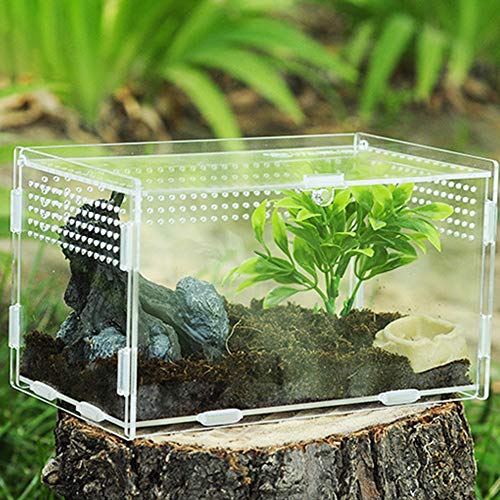 Acryl Terrarium Schnecken Terrarium 30CM*20CM*15CM, Reptil Acryl Fütterungsbox, Schnecken Mini Terrarium, Tragbarer Kriechender Haustier Acryl-Terrarium-Behälter für Reptilien, Schnecken,Spinnen von Vaileal