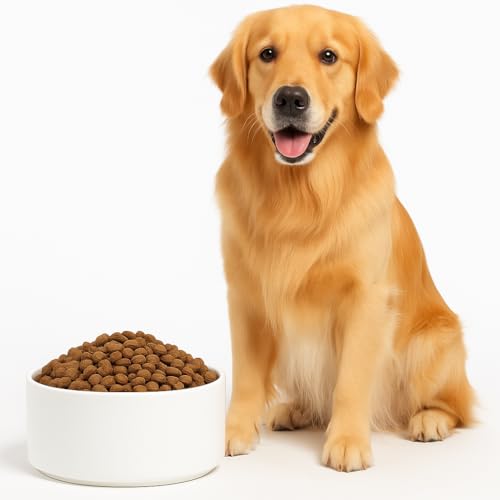 VALLARY Keramik-Hundenapf, extragroß, schwer, rutschfest, 21,6 cm Durchmesser x 8,1 cm Höhe, spülmaschinenfest, lebensmittelecht, ideal für große Rassen und Hundehütten, 1,7 l VALLARY Keramik-Hundenapf, extragroß, schwer, rutschfest, 21,6 cm Durchmesser x 8,1 cm Höhe, spülmaschinenfest, lebensmittelecht, ideal für große Rassen und Hundehütten, 1,7 l von Vallary