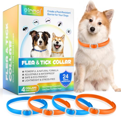 Hundehalsband 4 Stück – Verstellbar und Wasserdicht, Sicher und Natürlich, 60 cm Length, 24 Monate Schutz, für Kleine Mittelgroße und Große Hunde (Orange&Blau) von Valleylux