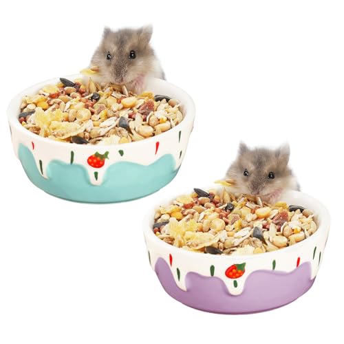 VanEnjoy Hamster-Futterschüssel, klein, Keramik, Wassernapf für Käfig, Kleintierschalen für Hamster, Meerschweinchen, Chinchilla, Kaninchen, Blau und Lila, 2 Stück von VanEnjoy