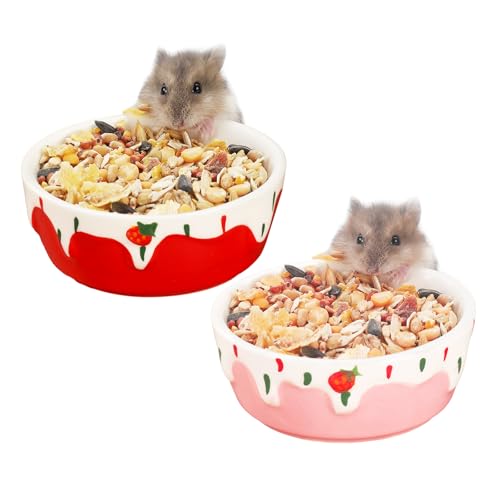 VanEnjoy Hamster-Futterschüssel, klein, Keramik, Wassernapf für Käfig, Kleintierschalen für Hamster, Meerschweinchen, Chinchilla, Kaninchen, Rot und Rosa, 2 Stück von VanEnjoy