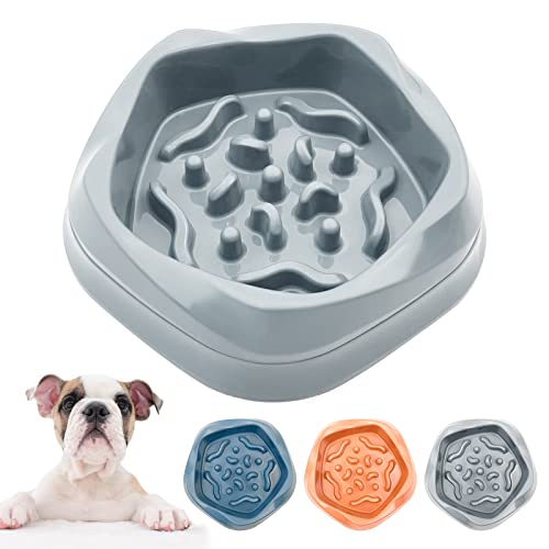 Vannon Slow Feeder Hundenäpfe Anti-Choking Futternapf Durable Dog Puzzle Bowl Bloat Stop Dog Food Bowl for small medium Dogs, Non Stoxic, BPA Free, 2 Cups, Grau von Vannon