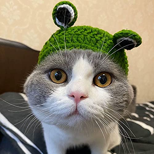 STARWAVE Handmade Knitting Pet Hats for Cat and Dog, Cute Frog Headband Hat Crochet Knitted Cap Big Eye Frog Cosplay Cap Pet Supplies(S) von Vanstart