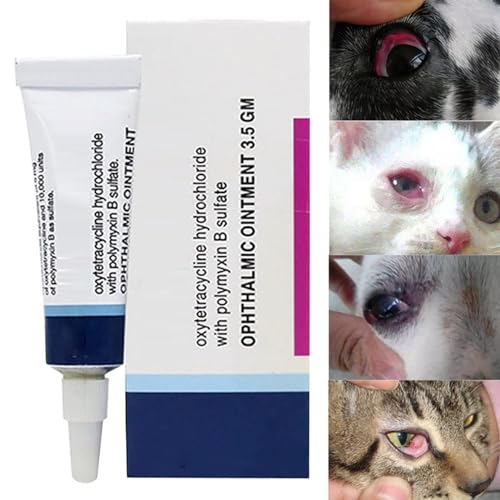 Augensalbe Für Katzen Und Hunde, 10ml Augensalbe-Augensalbe Für Haustiere Hornhautentzündung Augensalbe Augenroller Gegen Schwellungen, Augenroller Gegen Schwellungen, Aufhellende Augencreme von Varatiktok