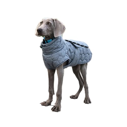 Hunde-Wintermantel, winddichte Hundebekleidung für kaltes Wetter, reflektierender kalter Wintermantel für Hunde, verstellbare warme Winterjacke, geeignet für mittelgroße und große Hunde (Größe XXL, von VasedGins