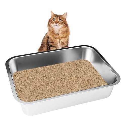 Große Edelstahl-Katzentoilette für Familie mit mehreren Katzen, offene Katzentoilette für Kätzchen, nimmt nie Gerüche an, leicht zu reinigen, langlebige Katzentoilette (61 cm L x 40,6 cm B x 15,2 cm von Vayinana