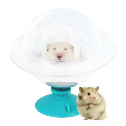 Vbnuyhim Hamster Sandbad Container, Duschraum Badeschale Katzentoilette Sandbad, Graben Sandbehälter Relaxhaus für Syrischer Hamster Zwerghamster von Vbnuyhim