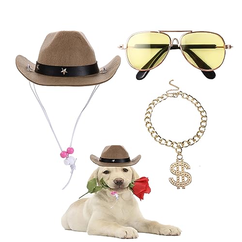 3-teiliges Haustier-Kostüm-Set für Hunde und Katzen - 1 x Haustier-Sonnenbrille, 1 x Khaki-Western-Cowboyhut, 1 x Golddollar-Metallkette, Cosplay-Kostüm, Foto-Requisiten für kleine Hunde und Katzen von Vctitil
